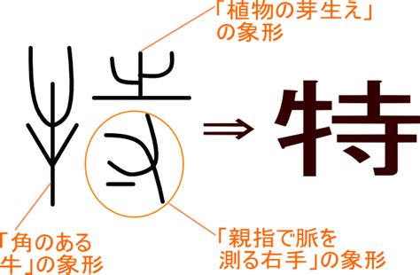 角 意味|「角」という漢字の意味・成り立ち・読み方・画数・部首を学習